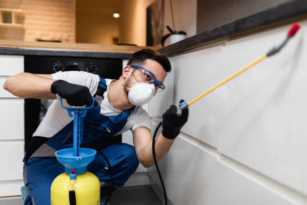 Trusted Daisetta, TX Pest Control Experts