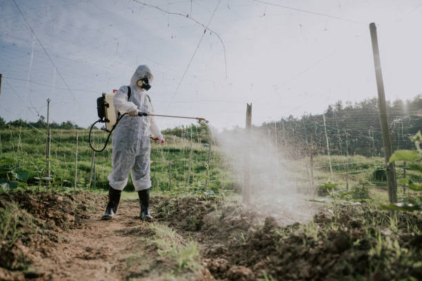 Best Mosquito Control Services  in Daisetta, TX