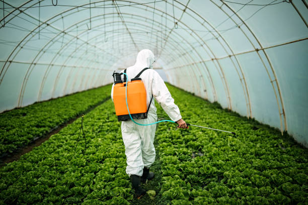 Best Affordable Pest Control Services  in Daisetta, TX