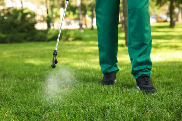 Daisetta, TX Pest Control Company