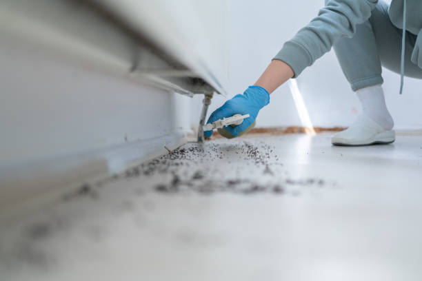 Best Wildlife Control Services  in Daisetta, TX