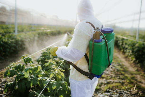 Best Best Pest Control Companies  in Daisetta, TX
